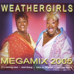 Mega Mix 2005 - Single