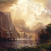 Allium - Single - Sway55