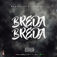 Breda Breda (feat. Shabani) - Single - Magazzeen