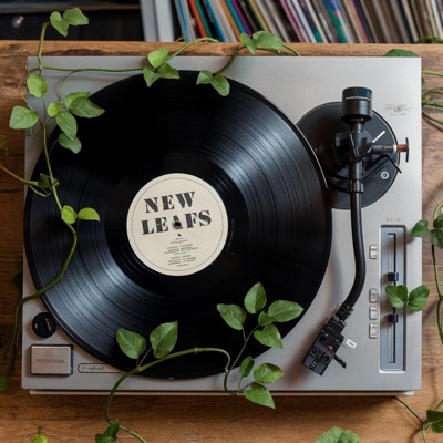 new leafs - Single
