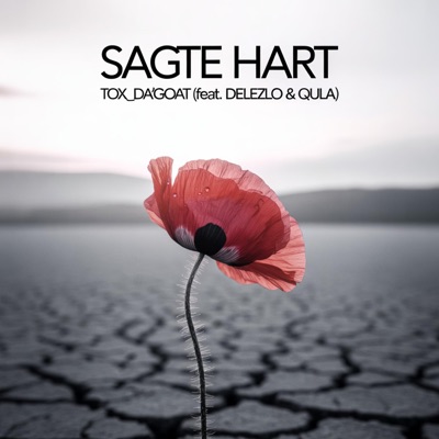 Sagte Hart (feat. Delezlo & Qula) - Single