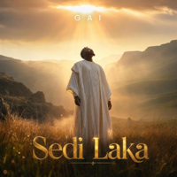 Sedi Laka - GAI Cover Art