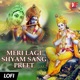 Meri Lagi Shyam Sang Preet Lofi Single