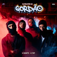 Os Filhotes do Gordão - Single - MC Negritin & MC PEPI