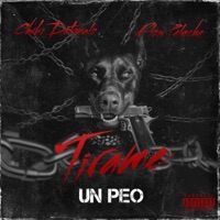 Tirame Un Peo (feat. Flow Peluche) - Single - Chiki Detonalo