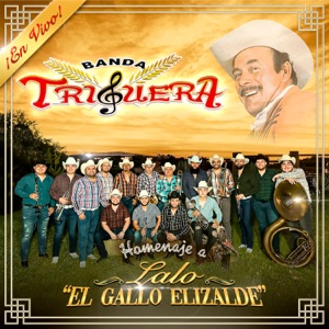 Homenaje a Lalo El Gallo Elizalde (En vivo)