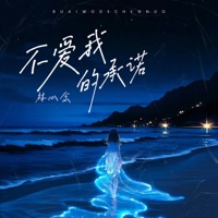 不愛我的承諾 - Single - 林心念