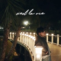 c'est la vie - Demxntia