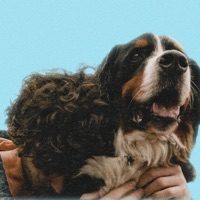 Dogs and kids - Single - Sarkis