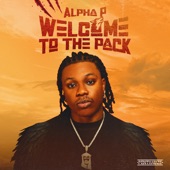 Omw artwork