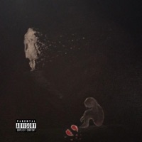 FILWY - Single - vari!