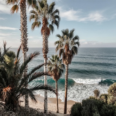 5pm in Miami - Single