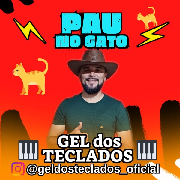 O GATO NÃO MORREU