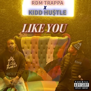 Like You (feat. Kidd Hustle)