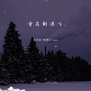 雪落的谎言 - Single
