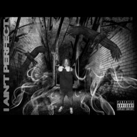 I Aint Perfect - Single - Yg Poona