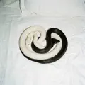 Yin Yang