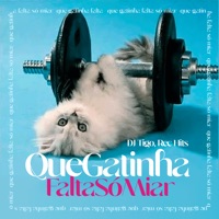 Que Gatinha, Falta Só Miar - Single - Dj Tigo