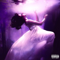 Hopelessly (In Love) [feat. Wakai & Armani Jordan] - Single - K$ The Kid