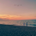 Won't Let You Go - Single