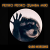 PEDRO PEDRO (Zumba Mix) - Gabo Herconz ®