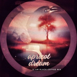 Apricot Dream (12am Black Coffee Mix) Greyware & egrets