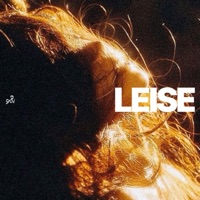 LEISE - Single - SWIN
