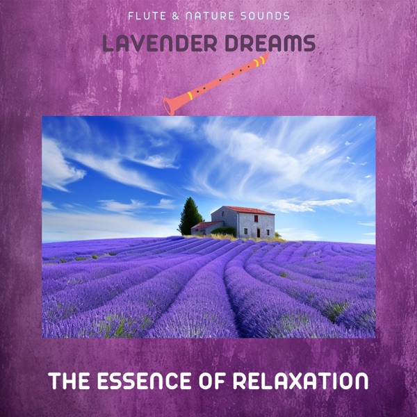 Lavender Dreams: The Essence of Relaxation