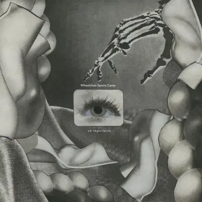 Listen to oh imperfecta by Wheelchair Sports Camp