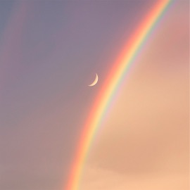 Любовь Shady Mill, Останься Дома & SAF