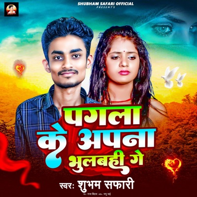 Pagla Ke Apna Bhulbahi Ge - Single