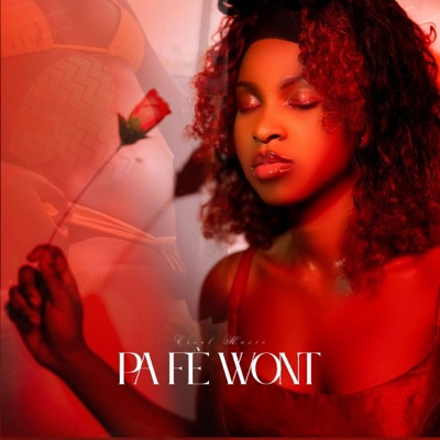 Pa Fè Wont (Kompa  Gouyad) - Single