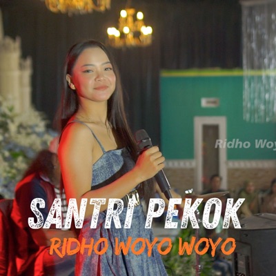 Santri Pekok - Single