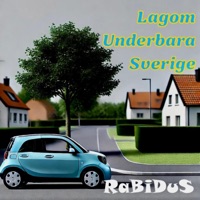 RaBiDuS - Lagom Underbara Sverige