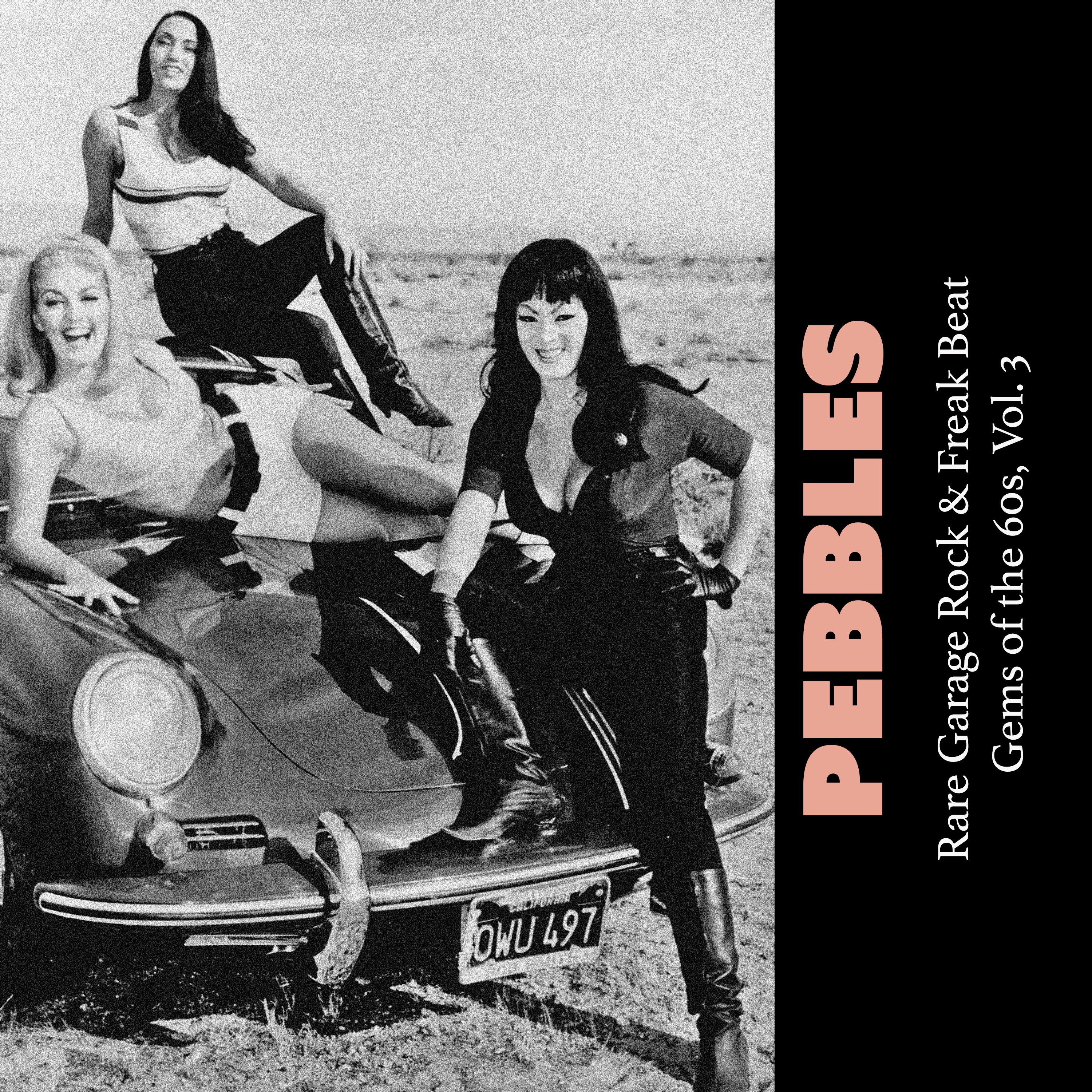 Pebbles: Rare Garage Rock & Freak Beat Gems of the 60s, Vol. 3
