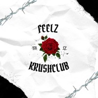 FEELZ (KRUSHCLUB??) - Single - FEELZOFICIAL 12