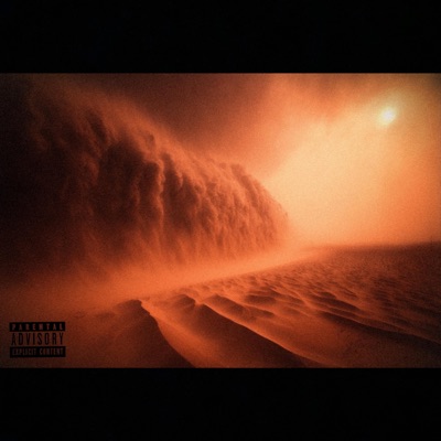 SandStorm (feat. S. Willz) - Single