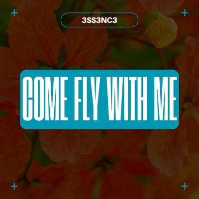 Come Fly with Me - Single
