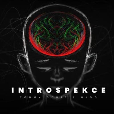 Introspekce - Single