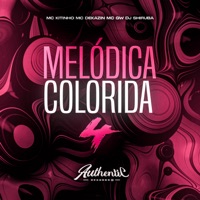 Melódica Colorida 4 (feat. MC GW & Mc Kitinho) - Single - DJ Shiruba & MC Dekazin
