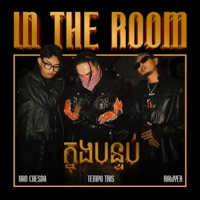 In The Room (feat. Rawyer & Van Chesda) - Single - Tempo Tris