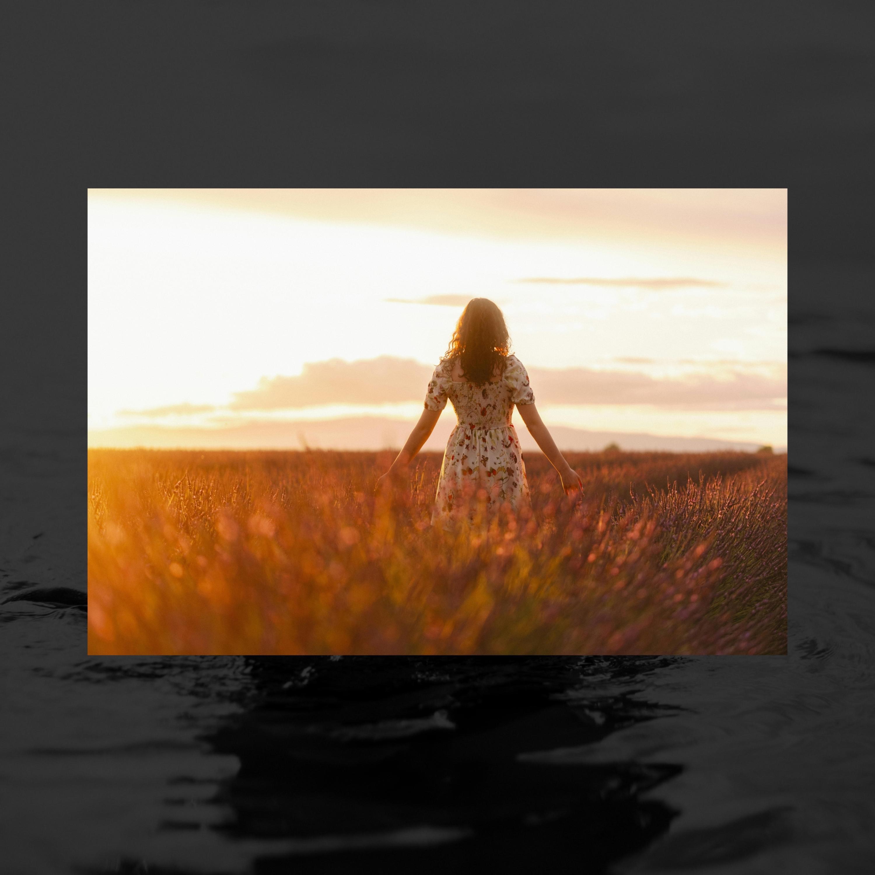 Olhe para os lírios