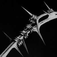 START SHIT (feat. Kalibvr) - Single - plur