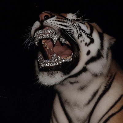 Naneso Ndiziwala (freestyle) - Single