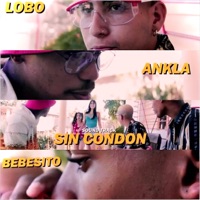 Sin Condon (feat. El Ankla & Aldeivi) - Single - LoboReal