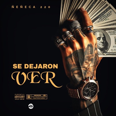 SE DEJARON VER - Single