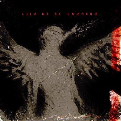 ELLA NO SE ENAMORA - Single