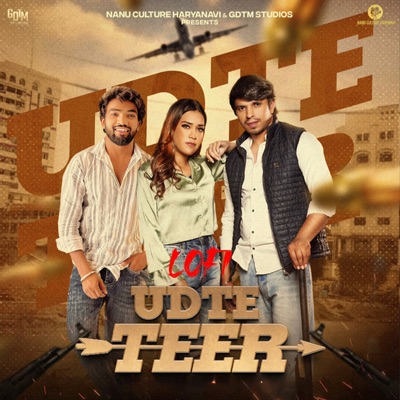 Udta Teer (Lofi) - Single
