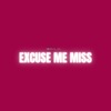 Excuse Me Miss - Single