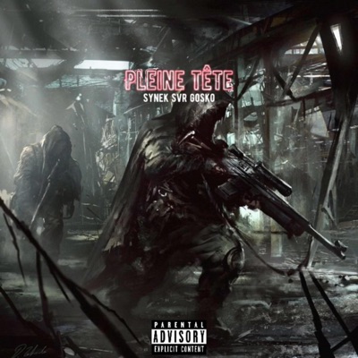 Pleine tête (feat. Gosko & Synek) - Single